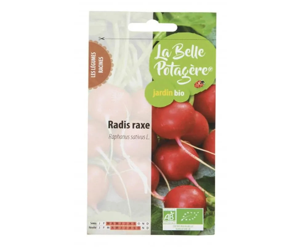LA BELLE POTAGERE - БИО СЕМЕНА РЕПИЧКА СОРТ "RAXE" - 3 г