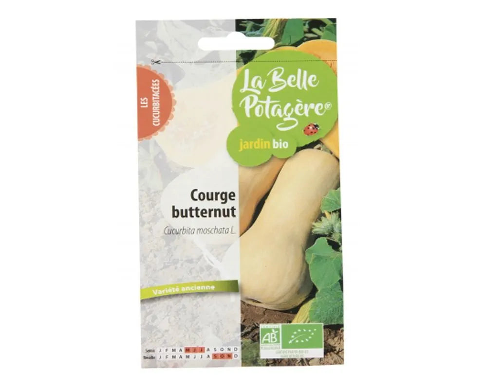 LA BELLE POTAGERE - БИО СЕМЕНА ТИКВА СОРТ "BUTTERNUT SQUASH" - 2,5 г