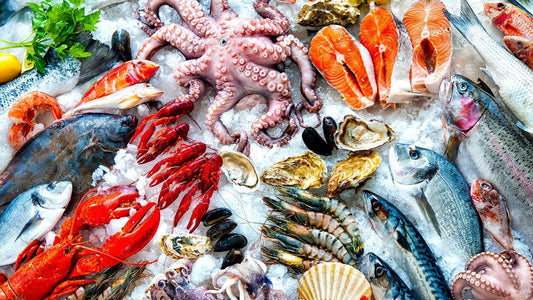 Риба и морски дарове – морската съкровищница на българската трапеза
