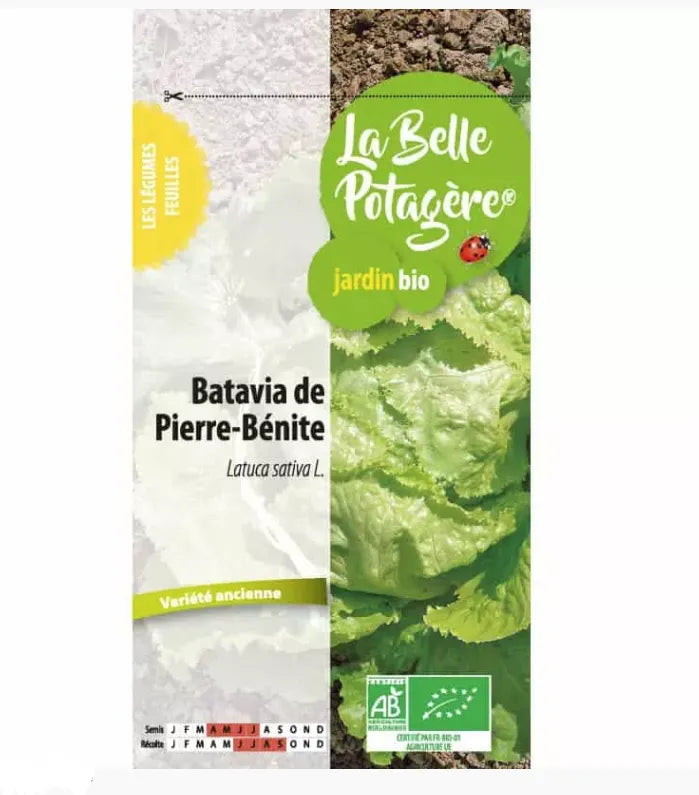 LA BELLE POTAGERE - БИО СЕМЕНА САЛАТА СОРТ "БАТАВИЯ ПИЕР БЕНИТ" - 0,5 г