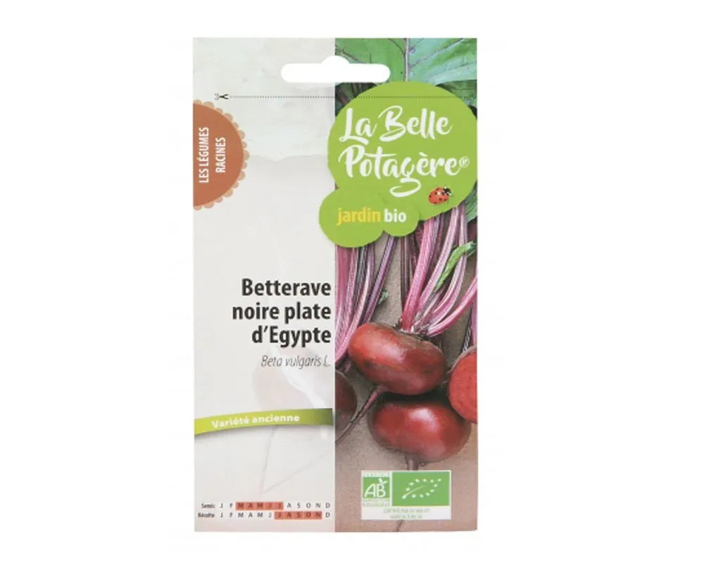 LA BELLE POTAGERE - БИО СЕМЕНА ЦВЕКЛО СОРТ "ЧЕРНО ПЛОСКО ЕГИПЕТСКО" - 2,5 г
