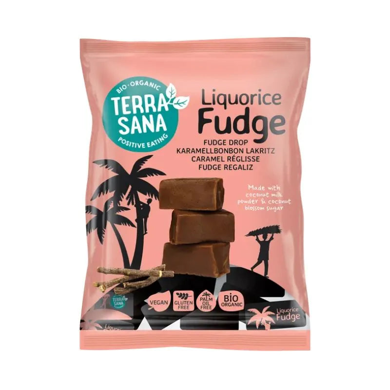 TERRA SANA - БИО ВЕГАН ФЪДЖ СЪС СЛАДЪК КОРЕН - 150 г